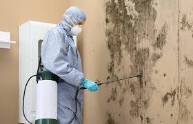 Mold Documentation for Insurance Claims in Emerson, NJ